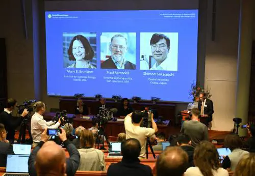 Trent’anni di studi: le cellule "scudo" ora vincono il Nobel