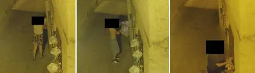 "Via la residenza a chi scarica i rifiuti". La mossa choc del sindaco contro il degrado
