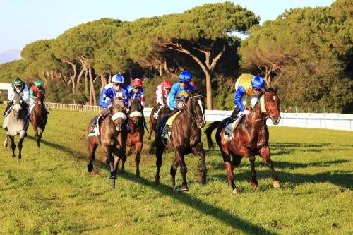 Una corsa all'ippodromo San Rossore - Pisa (f.te soc. Alfea)