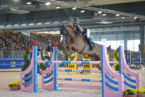 Fieracavalli, il concorso ippico