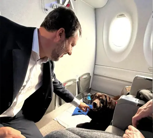 Cani in aereo, arrivano le linee guida: 6 animali per volo e fino a 30 kg