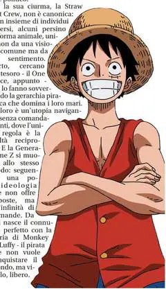  Il loro vessillo è il cappello di paglia di "One piece"