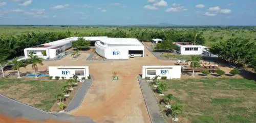 Bf International (gruppo bf) alla COP30 presenta le BFuture Farm all’evento: “The future of farming: climate-smart and inclusive examples from Italy and Africa” 