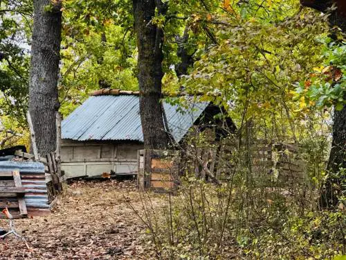 Famiglia nel bosco, le foto della casa a Palmoli