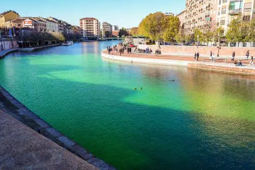 Cop 30, così gli attivisti hanno colorato di verde i Navigli