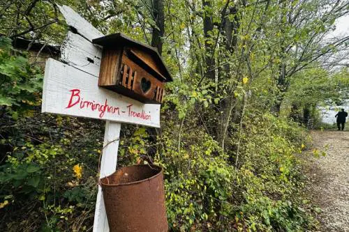 Il ritorno nel bosco: il piano dei genitori per riavere i figli e ricostruire una vita "off-grid"