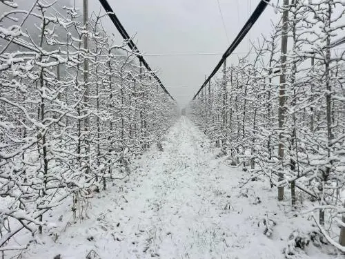 Neve, freddo e vento, si abbassa il vortice polare: cosa può succedere in Italia 