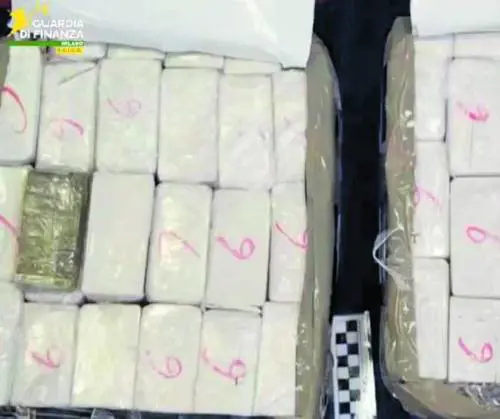 Alleanza tra narcos e 'ndrangheta: fiumi di coca verso la Lombardia