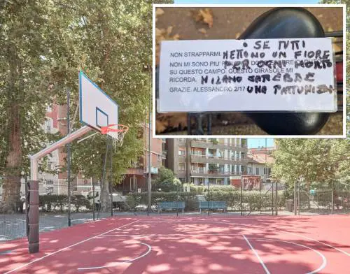 A Milano scoppia la "protesta dei girasoli" per  Alessandro. Cosa è successo