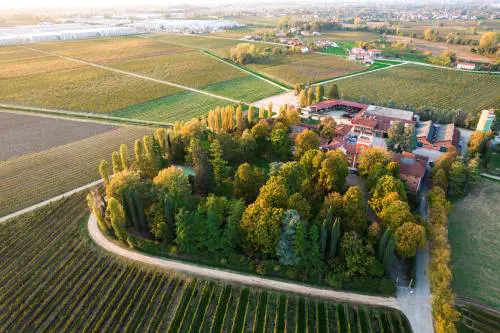 Tenute Tomasella, l’equilibrio tra natura e uomo