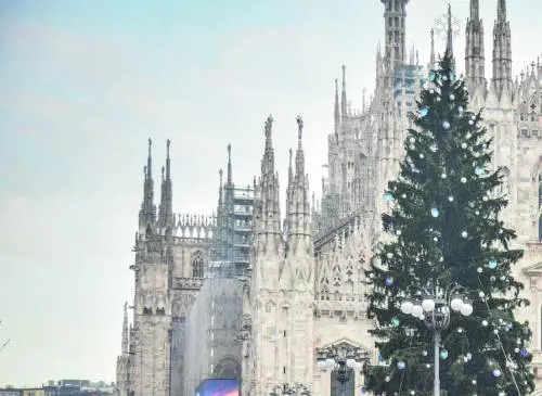 Trenta gli alberi di Natale con sponsor. E l’abete in Duomo s’accende sabato