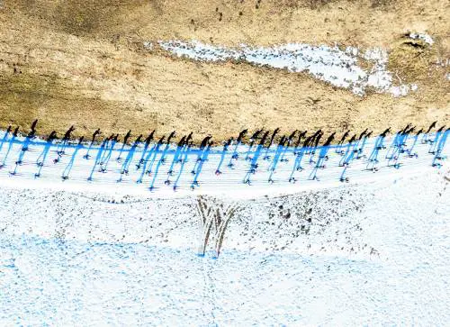 La montagna vista dai droni "atterra" a Malpensa e diventa arte