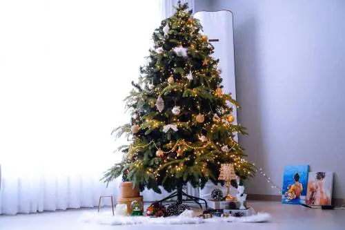 Albero di Natale: perché si prepara l’8 dicembre, giorno dell’Immacolata