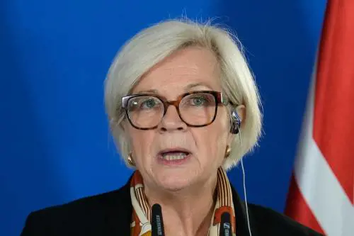 Cinque droni sulla base francese. Dubbi su Mosca, indagini top secret