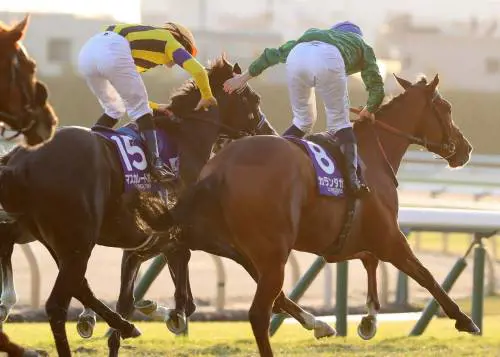 Il dopo palo della Japan cup