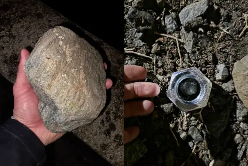 "Bombe carta con chiodi e catapulte per massi da 5kg". Rabbia degli agenti dopo l'assalto No Tav