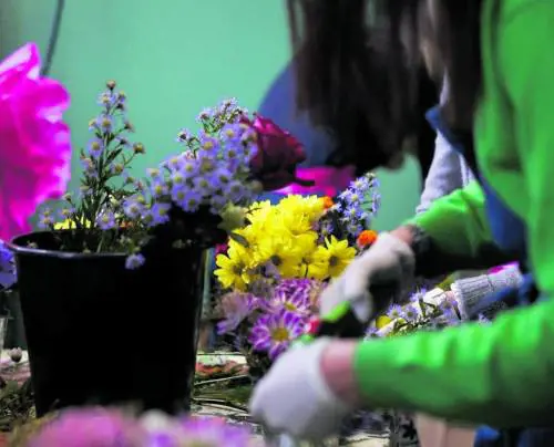 Dai fiori della Scala nuove composizioni per ospedali e Rsa