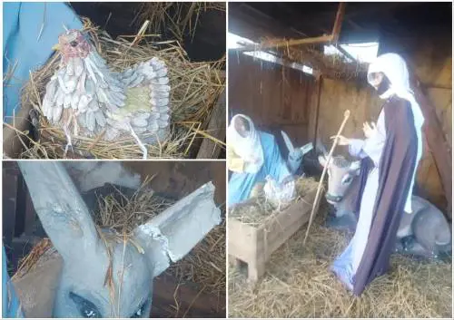 La gallina nella mangiatoia, l'orecchio dell'asino spezzato: vandalizzato il presepe