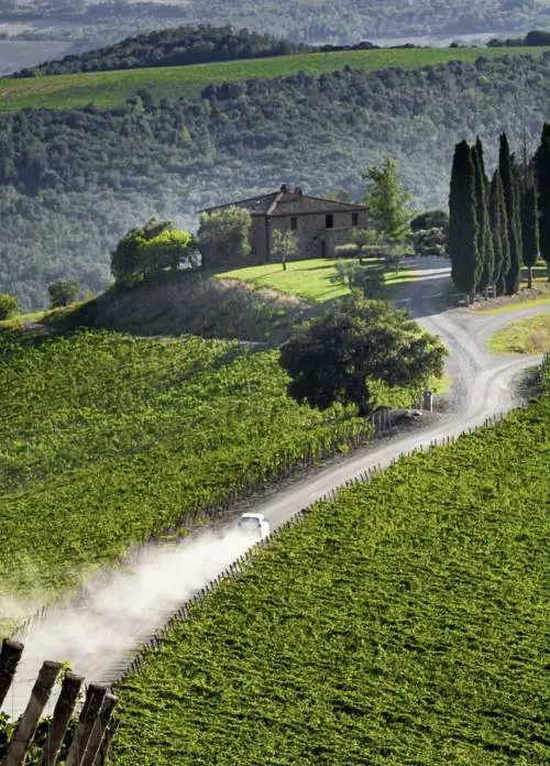 Brunello di Montalcino 2021, ecco i quindici da non perdere