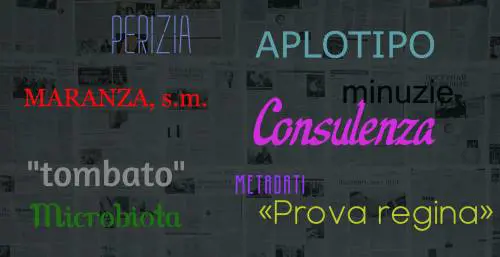 Da "maranza" a "aplotipo": il glossario della cronaca per raccontare il 2025