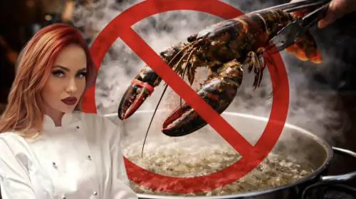 In Inghilterra la fine della crudeltà legale sulle aragoste. "Stop alle sofferenze inutili"