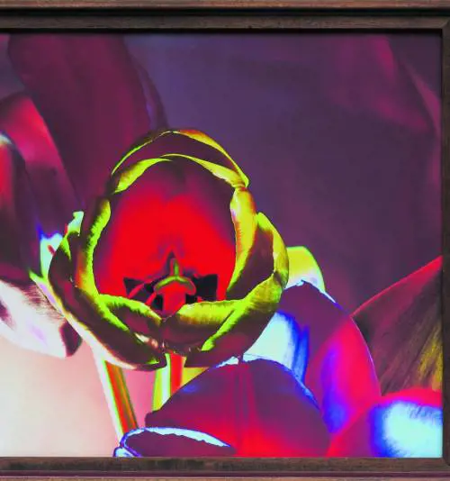 Il fotografo poeta che dipinge con l'obiettivo e parla a fiori e lune