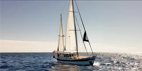 900mila euro per portare i migranti a Lampedusa: la sfida della Ong tedesca all'Italia