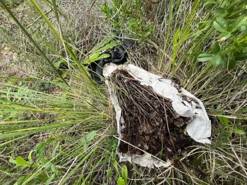 La morte di Manuela Murgia