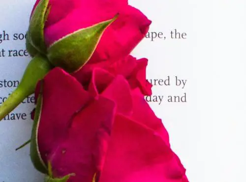 Poesia è anche inseguire le tracce dei maestri