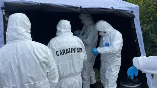 L'omicidio e l'orrore su Federica. "Ammazzata con 23 coltellate lei si difendeva, poi l'ha bruciata"