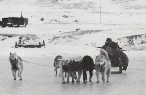 La guerra segreta in Groenlandia: uomini, cani e ghiaccio contro il Reich