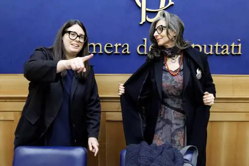 Albanese, il siluro al Pd. "No al ddl antisemitismo"