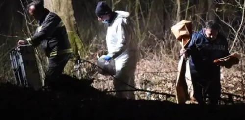 Cadavere nel bosco, il figlio confessa: "Ho ucciso mamma per la pensione"
