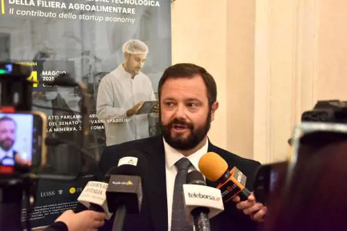 Pomodoro, Mirco Carloni (Pres. Comm. Agricoltura): “Egitto mette a rischio filiera. Depositata interrogazione a ministri Lollobrigida e Schillaci”