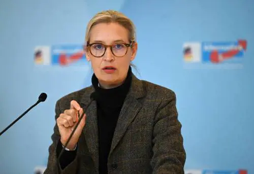 Alice Weidel, Afd