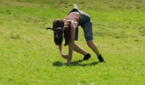 "Sono un cane", "io sono una volpe", cresce il fenomeno dei therian: persone che si identificano in animali