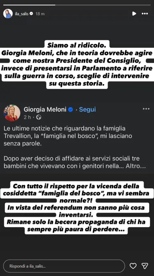 Le parole di Ilaria Salis sull'intervento della premier sulla famiglia nel bosco (Instagram Stories @ila_salis)