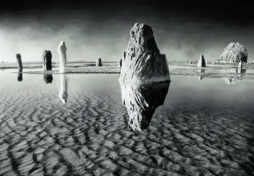 "Metamorfosi" tra le foto. L'immaginazione in Fiera