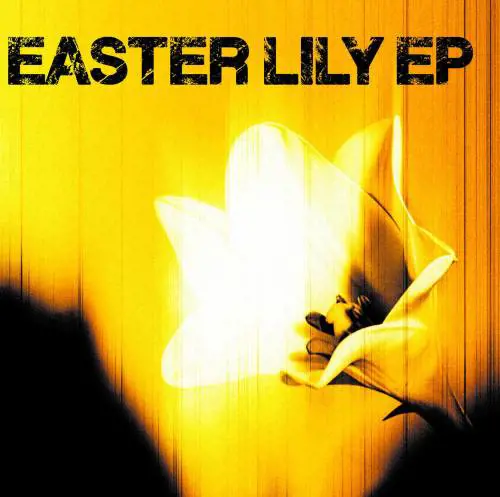 Gli U2 tornano a sorpresa con sei nuove canzoni