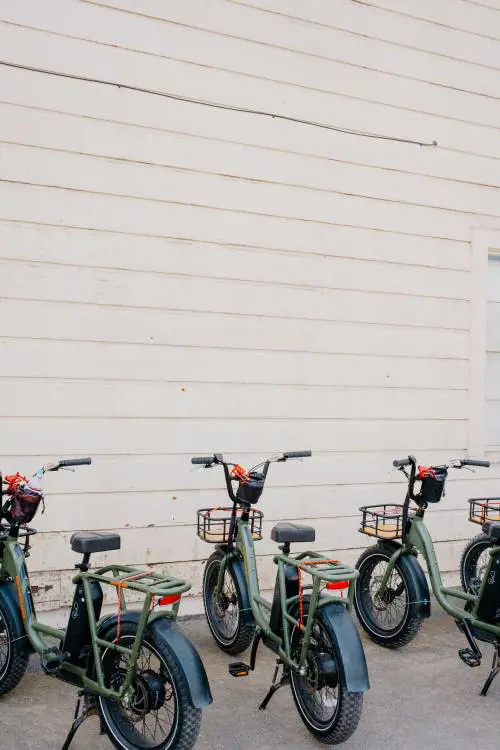 Spesso "truccate" e troppo veloci. "Più regole per le bici elettriche"