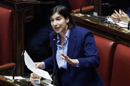 Elly non capisce la Costituzione e il referendum