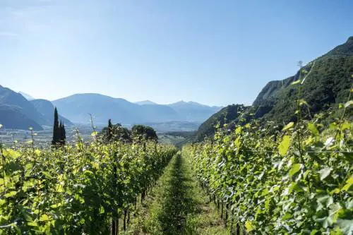 Al Vinitaly il meglio dell’Alto Adige
