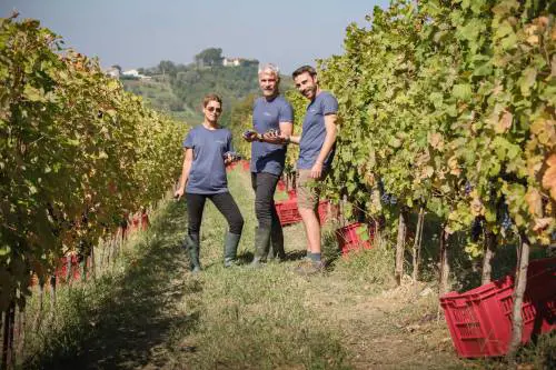 Frasca La Guaragna, la riscossa silenziosa del Nizza Docg