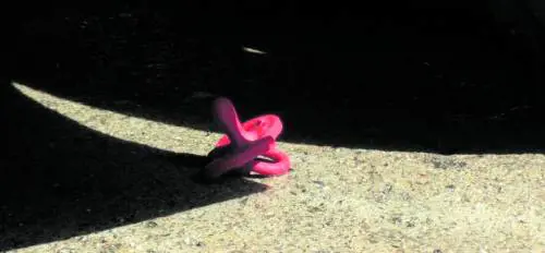 La psicosi nella fase acuta e la morte intesa come salvezza