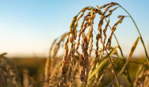 Il cda di BF Spa approva il bilancio di esercizio e consolidato. Cresce il valore della produzione (+15%)