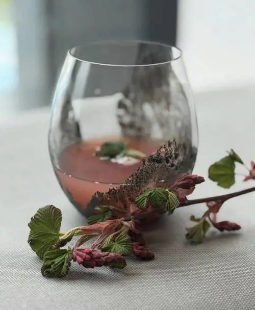 Il “juice pairing” secondo Giulia Caffiero