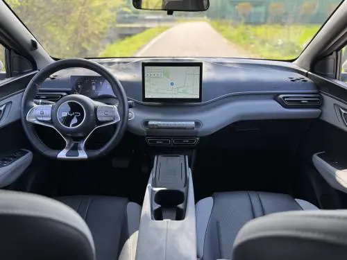 BYD Dolphin Surf, guarda tutte le foto
