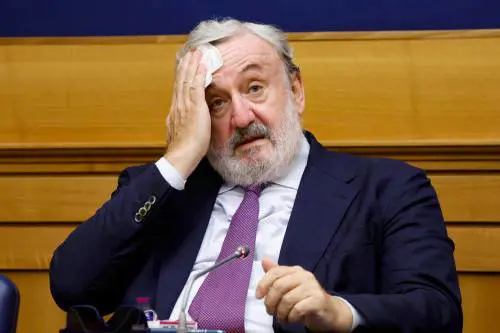 "Nel futuro mi vedo come romanziere. Ma se il Pd ha bisogno posso candidarmi"
