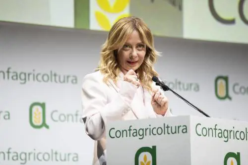 "Serve autonomia su sicurezza e energia"