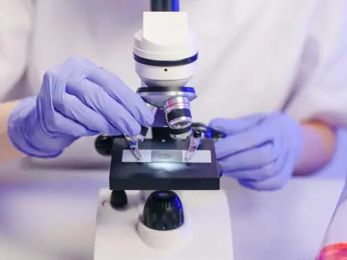 Scoperto un virus nell’intestino che potrebbe essere collegato al tumore al colon